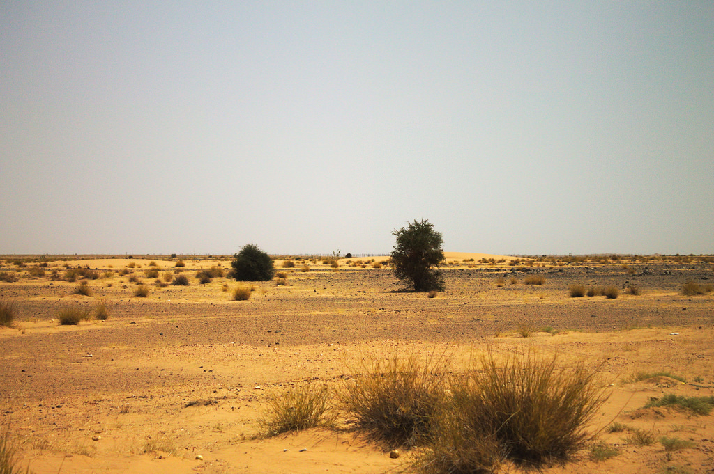 la déserification du Sahel